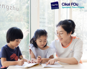 mandarin tutoring private
